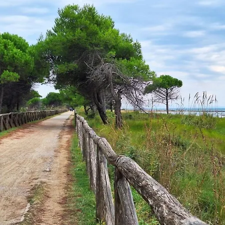 Flat 50mt From The Appartement *