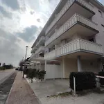 Flat 50m From The